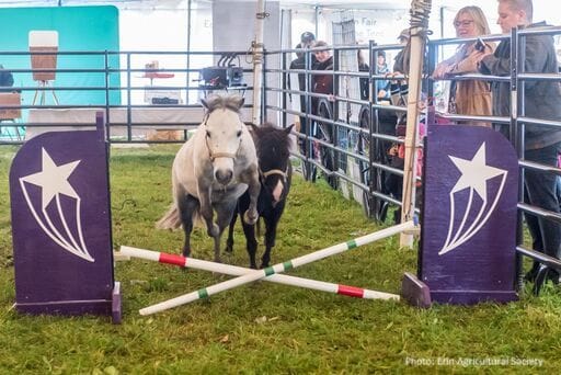 10th anniversary for Erin Fall Fair horse tent