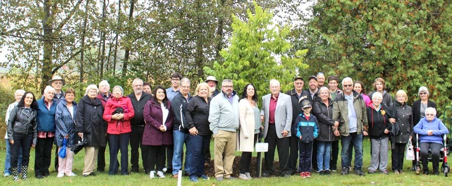 Tree planted in memory of Elsie Grummett