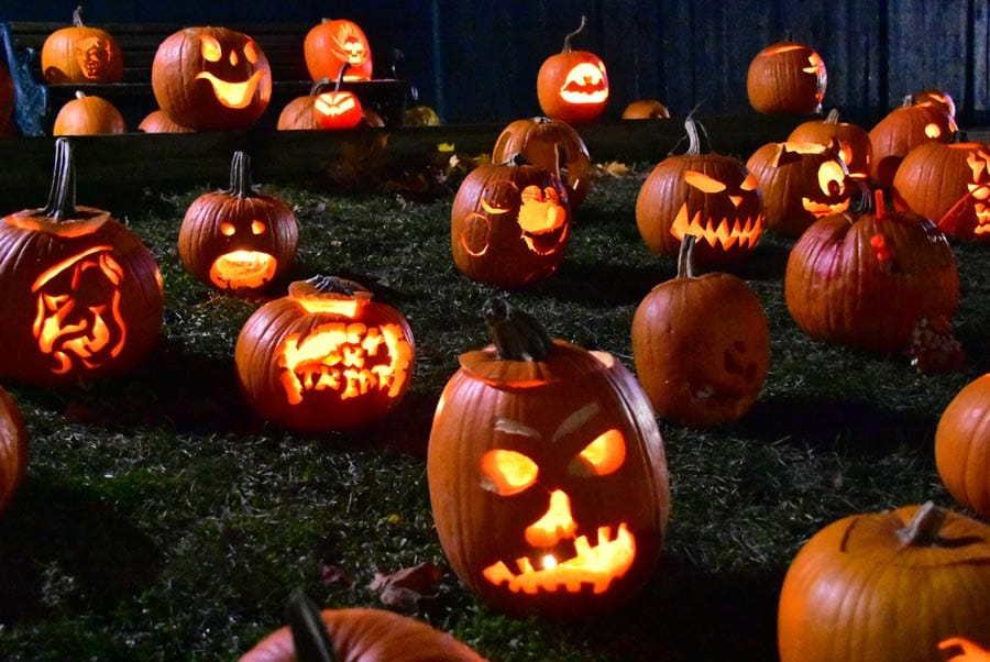 Annual Pumpkin Walk took place at Wellington County Museum