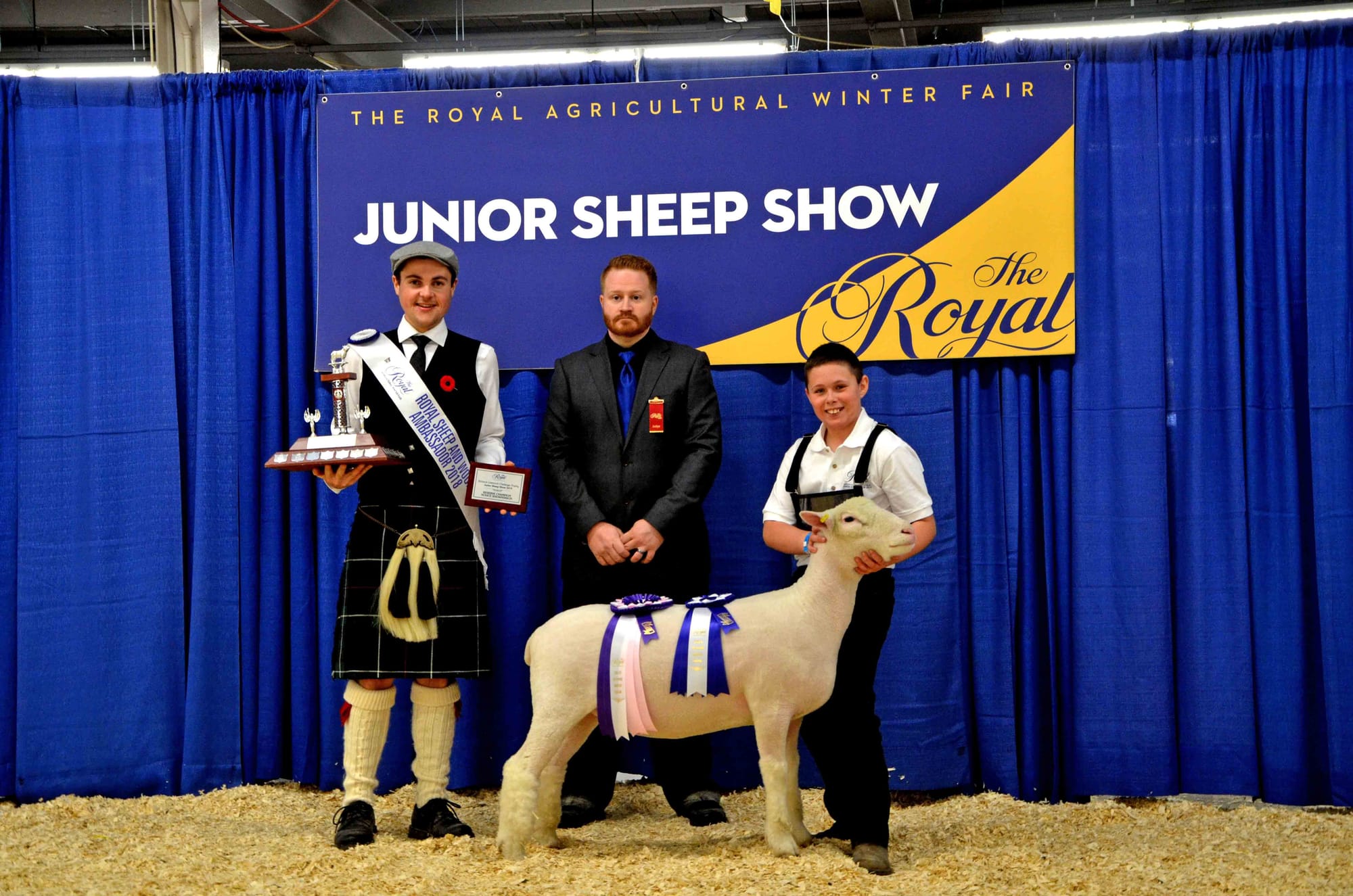 Wellington 4-H Sheep Club competed in Junior Sheep Show at the Royal Winter Fair