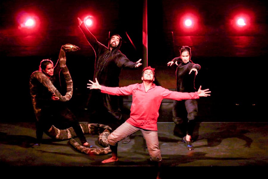 Jungle Book comes to life on stage at the River Run Centre