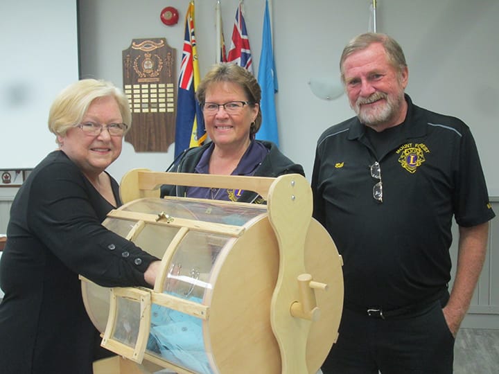 Mount Forest Lions Club held Light Up the Night draw