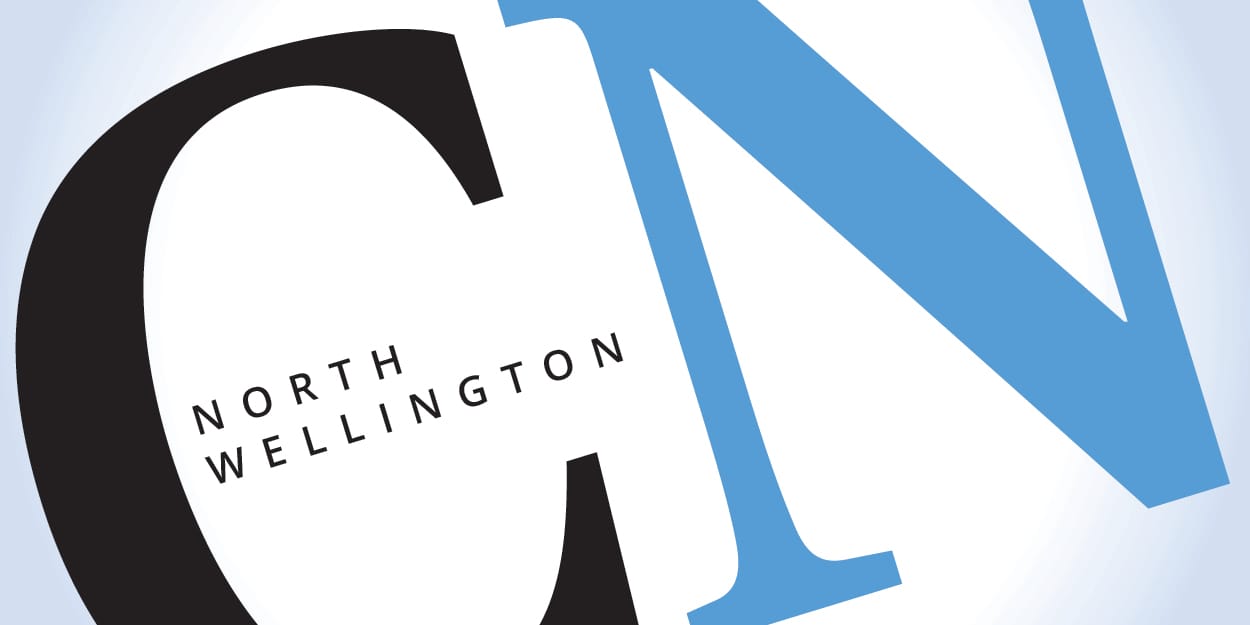 At the Library: Chose your own adventure at local library