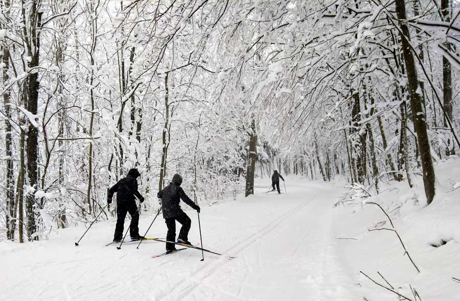 Erin cadets display talents at winter biathlon event