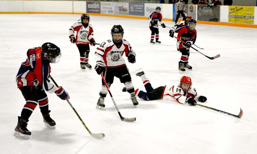 Minto Mad Dogs Novice Rep face Walkerton