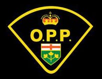 Palmerston man charged in connection with assault, Taser threat: OPP