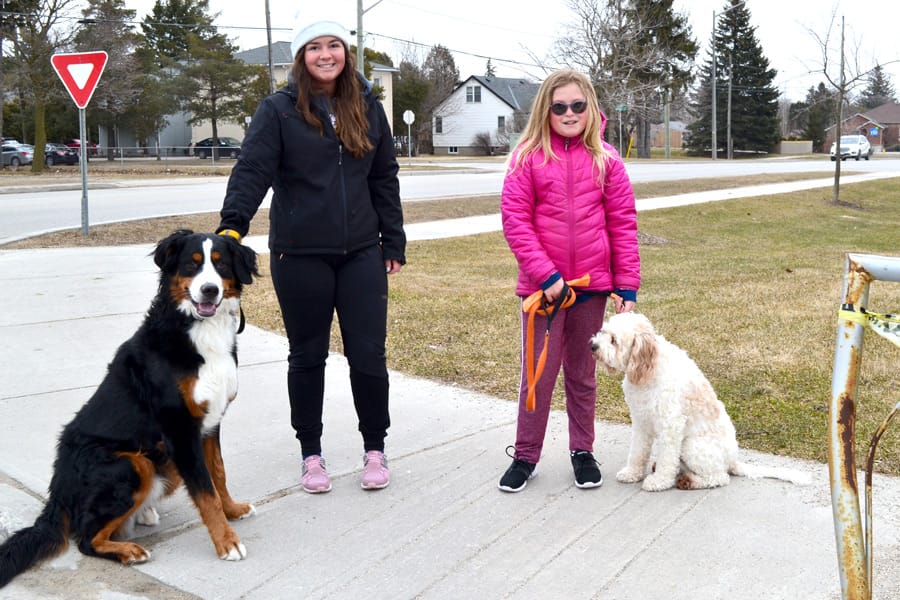 Dogs are enjoying having their humans home