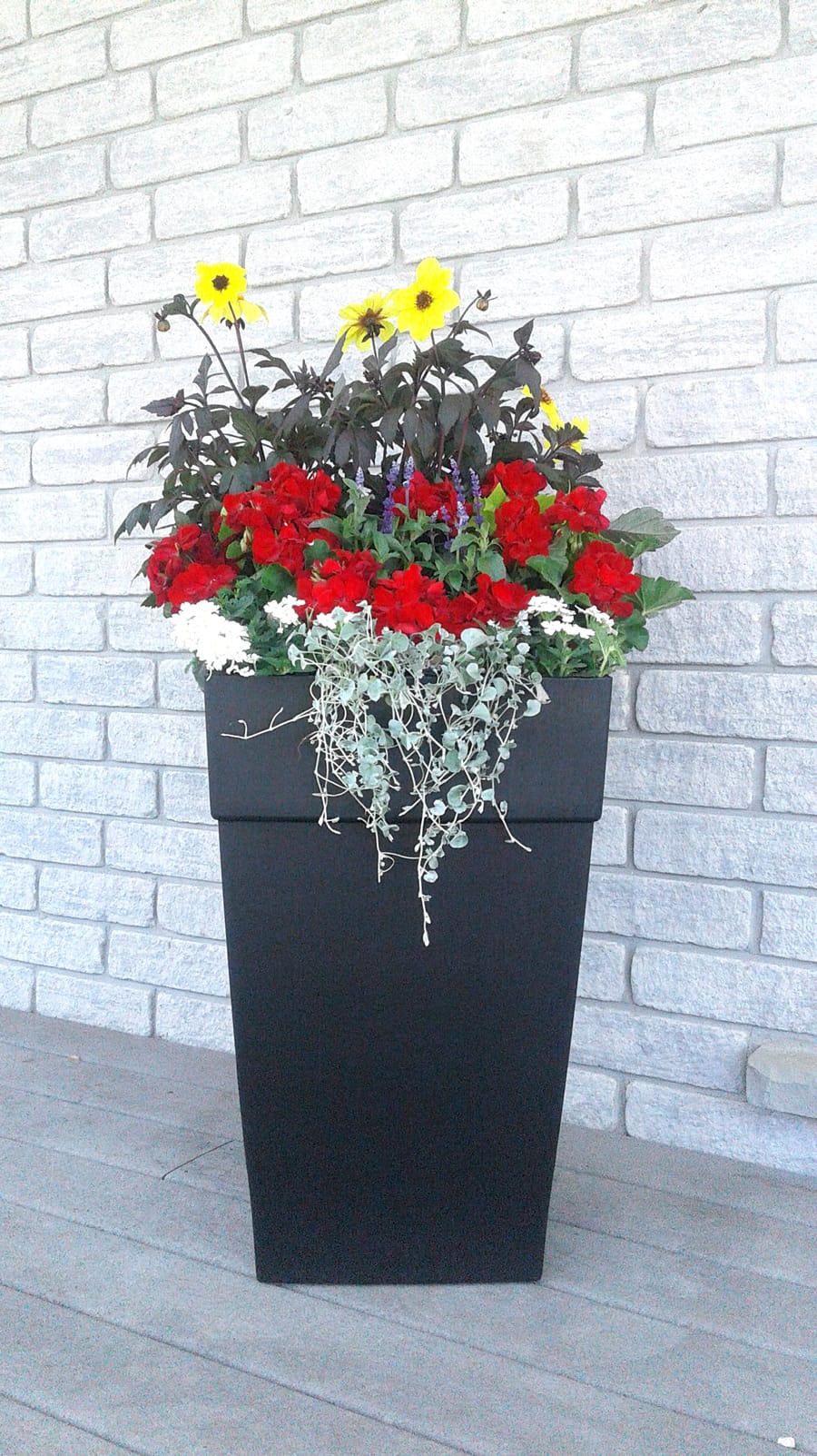 Businesses provide splash of colour downtown