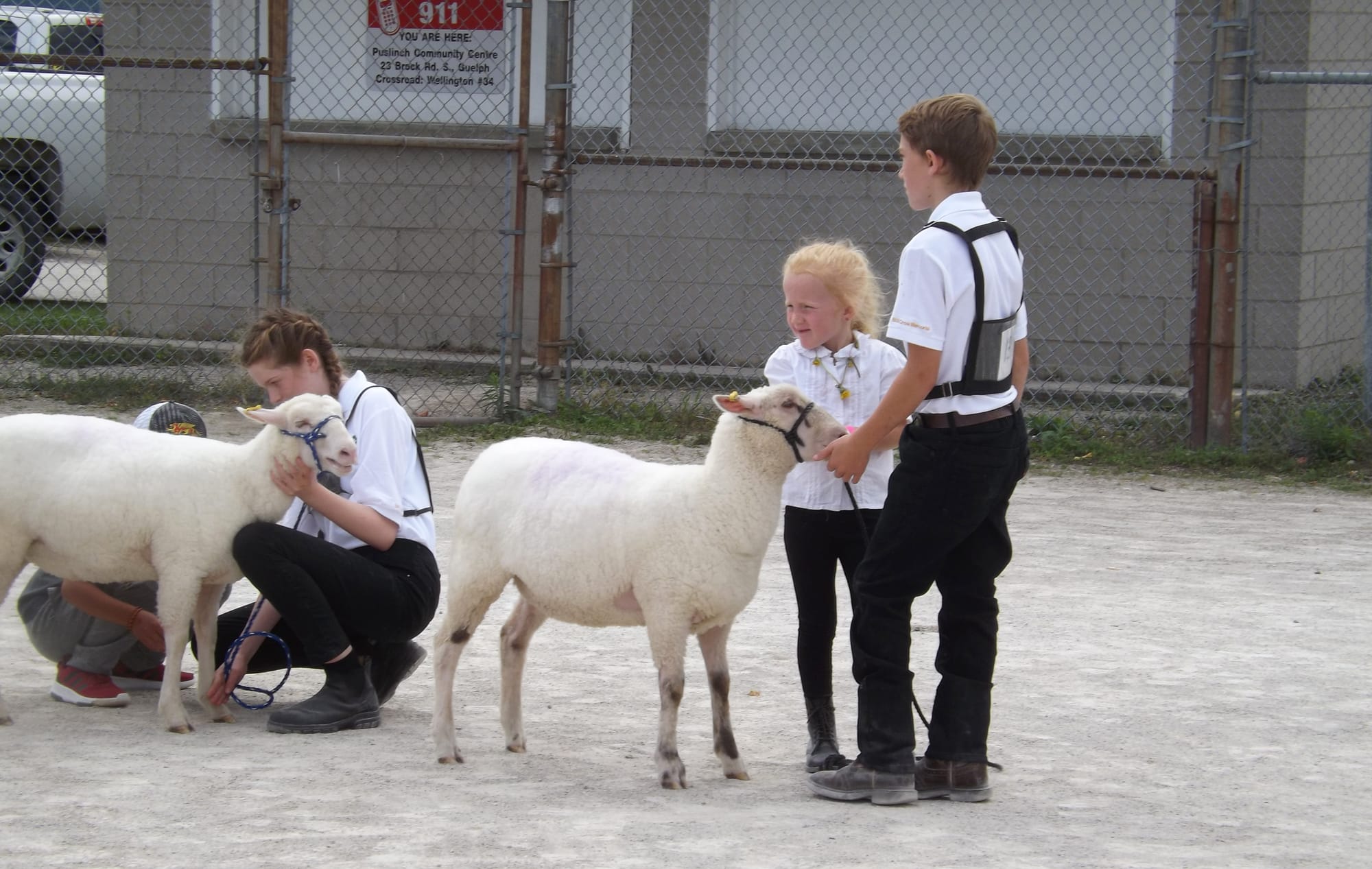 Aberfoyle Fall Fair cancelled due to COVID-19