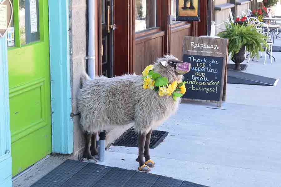 Elora shop helps spread the message to wear masks