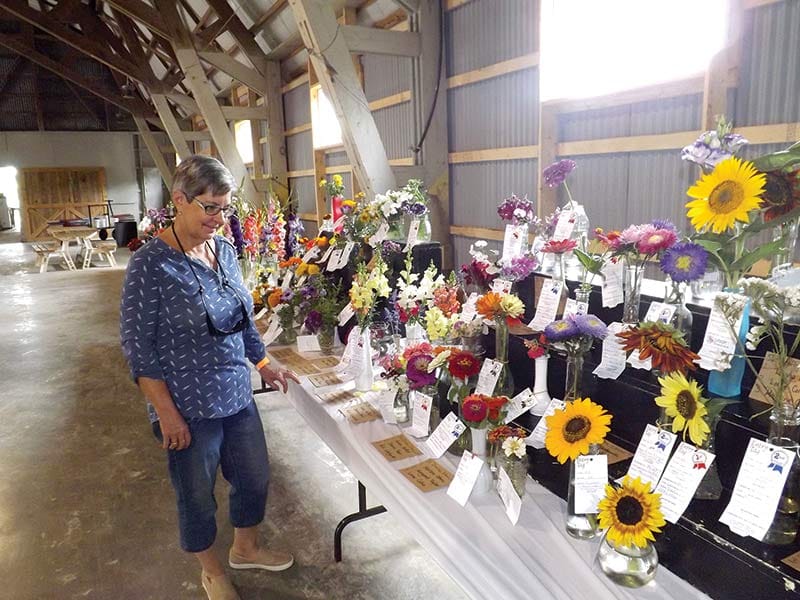 Society calls on community to celebrate spirit of fair