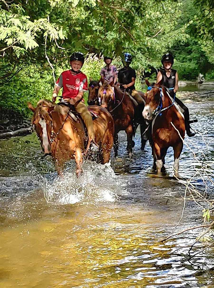 Mount Forest equestrian  facility opens amidst pandemic
