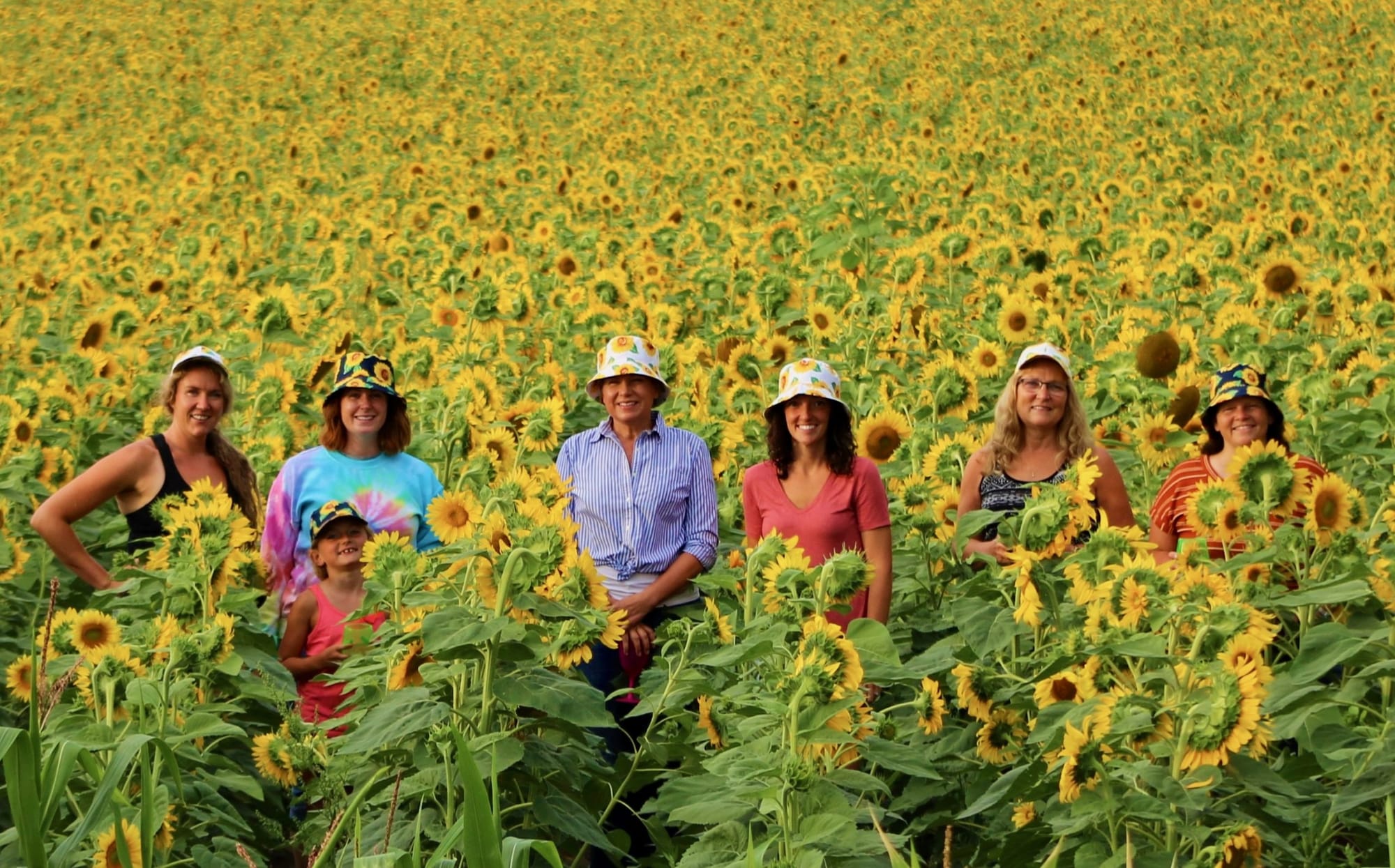 Sunflower tour final tally exceeds $13,000 for Wheels of Hope