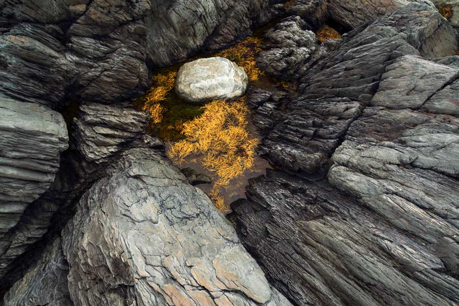 Elora Centre for the Arts brings magazine article to life on the walls of the gallery