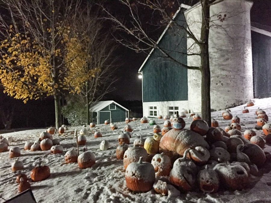 County museum held Pumpkin Walk on Nov. 1