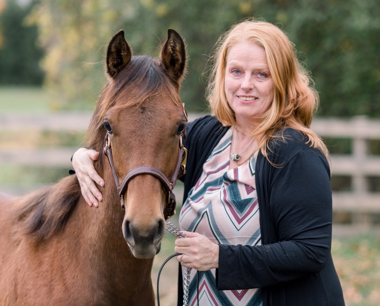 Erin resident wants to ban fireworks in town after horse put down due to injuries
