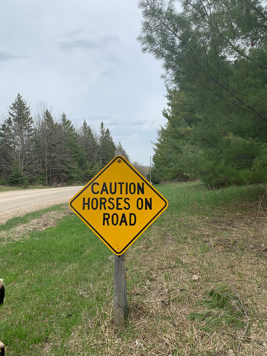 Horse road and trail safety: be seen, be aware, be safe