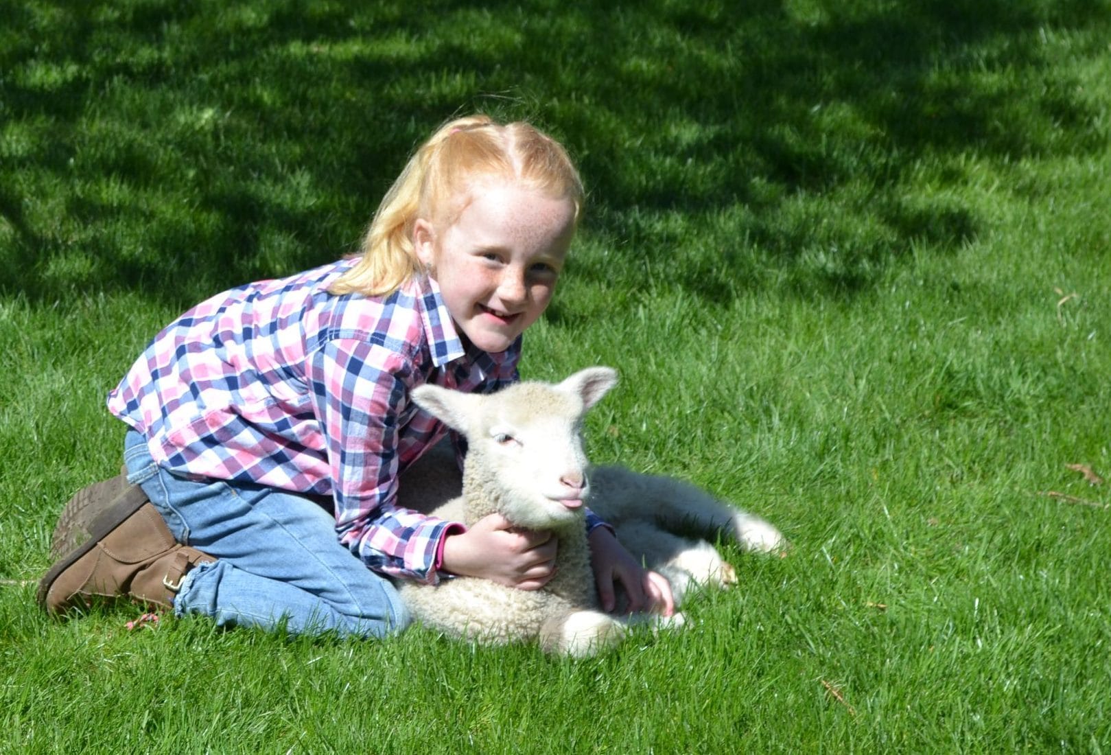 Guelph/Eramosa girl hosts TVOKids series about life on the farm