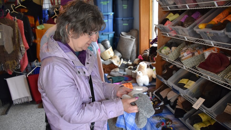 Taste Real is bringing the 2021 Spring Rural Romp right to your doorstep