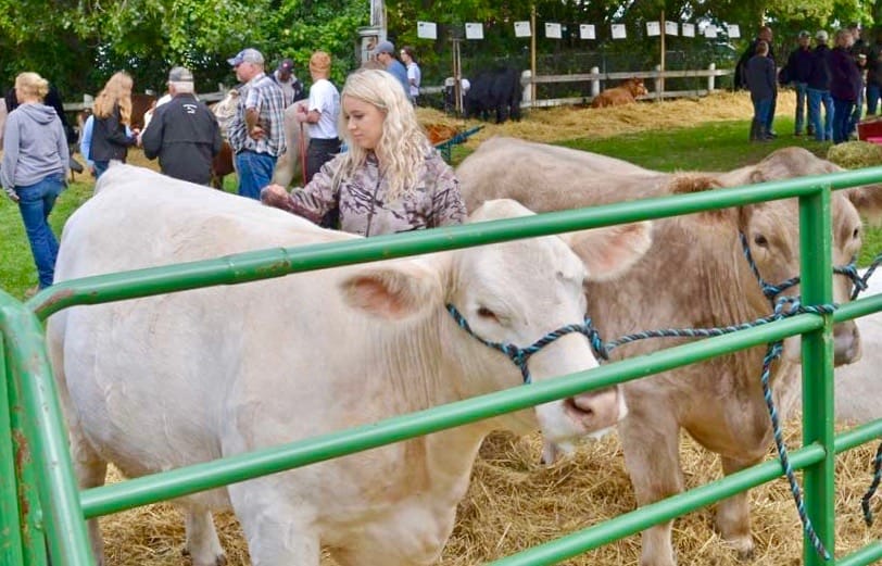 Agricultural societies host drive-through breakfast