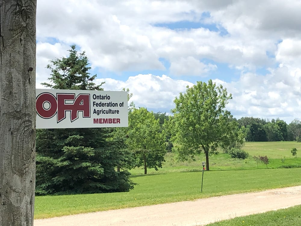Mapleton agrees to cooperate with OFA in cost of community services study