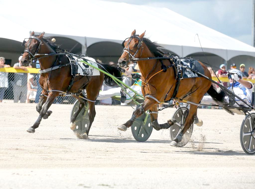 Favourites prevail in Industry Day battles