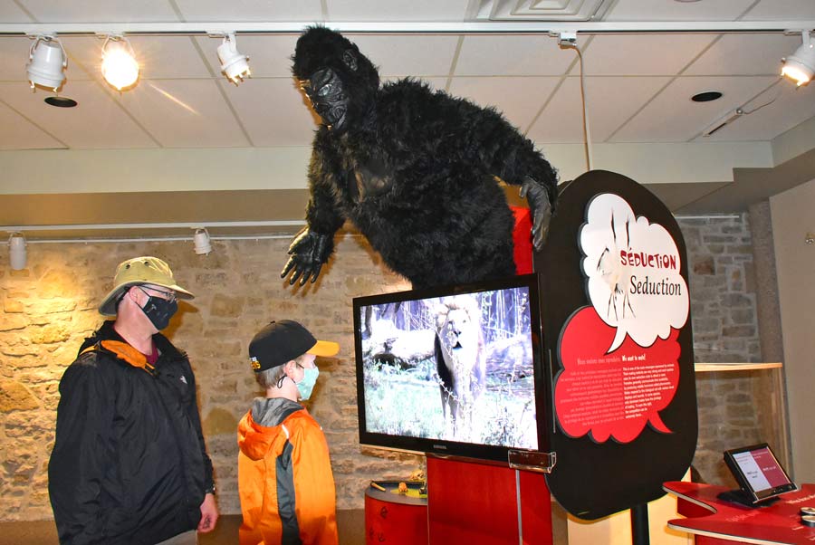 ‘Animal gibberish: subtitled for humans’ now at museum