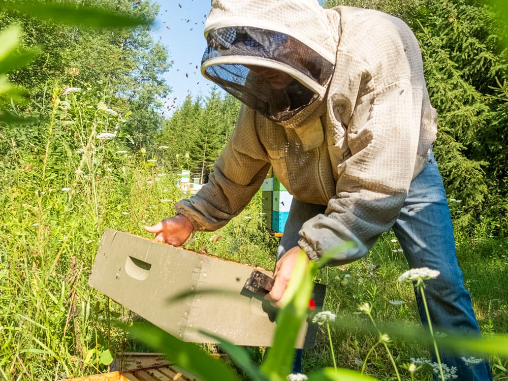 Moorefield beekeeper hoping agricultural funding will sweeten growing business