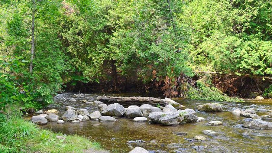 Coalition files application for MOE to investigate wastewater treatment plant