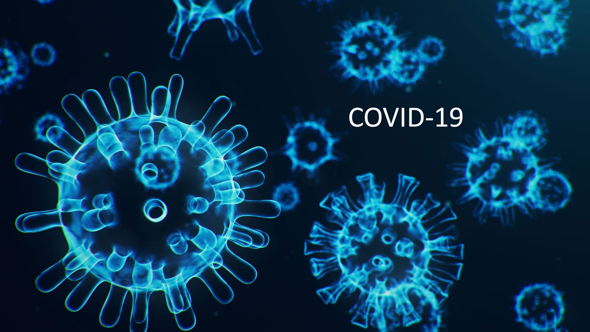 Local school boards report 14 confirmed COVID-19 cases