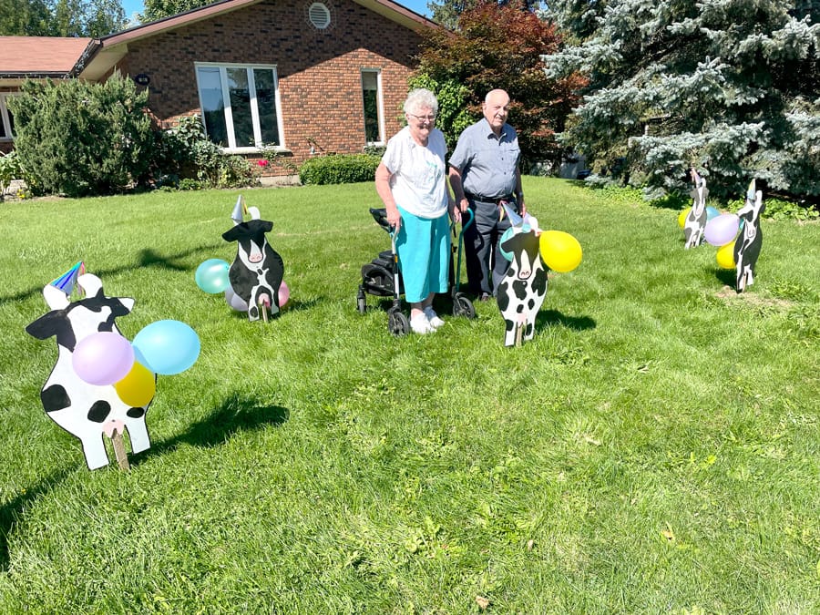Modified Harriston-Minto fair features bale animals, beef diner