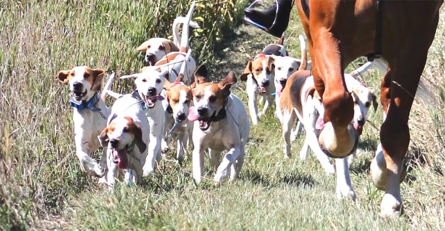 Wellington-Waterloo Hunt Club, Hunter Pace
