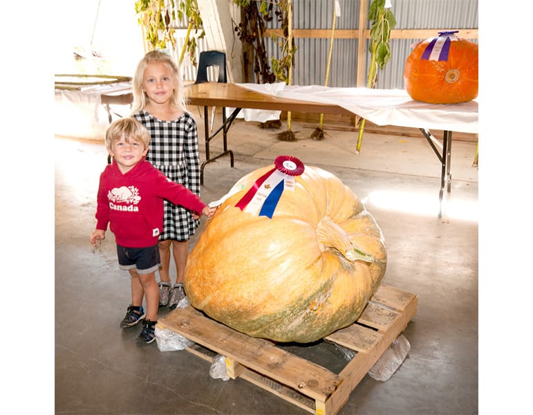 Drayton Agricultural Society’s Harvest Festival held on Sept. 18.
