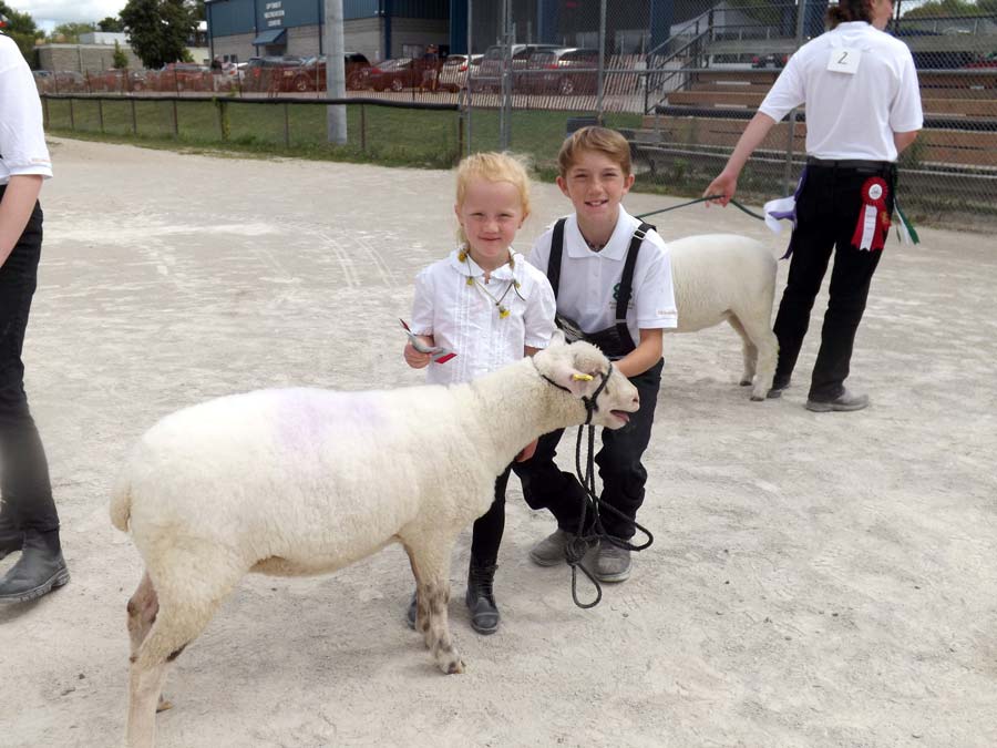 In the absence of fall fair, Aberfoyle Agricultural Day slated for Sept. 11
