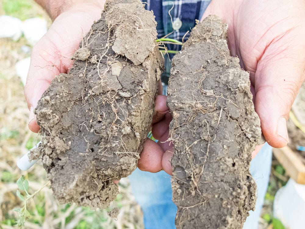 ONFARM tailgate tour brings farmers together at 3Gen Organics