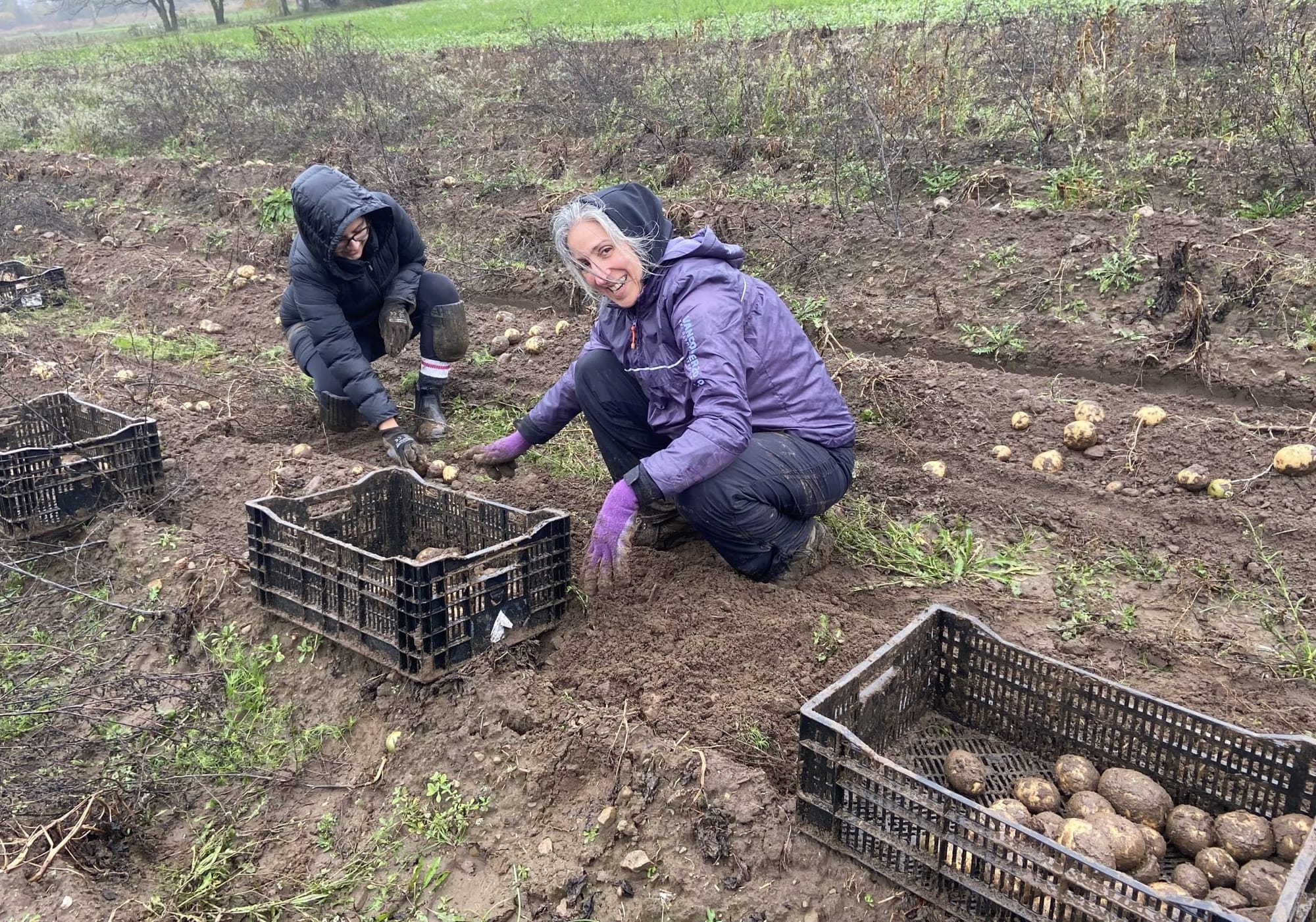 The Seed extends community harvest days into November