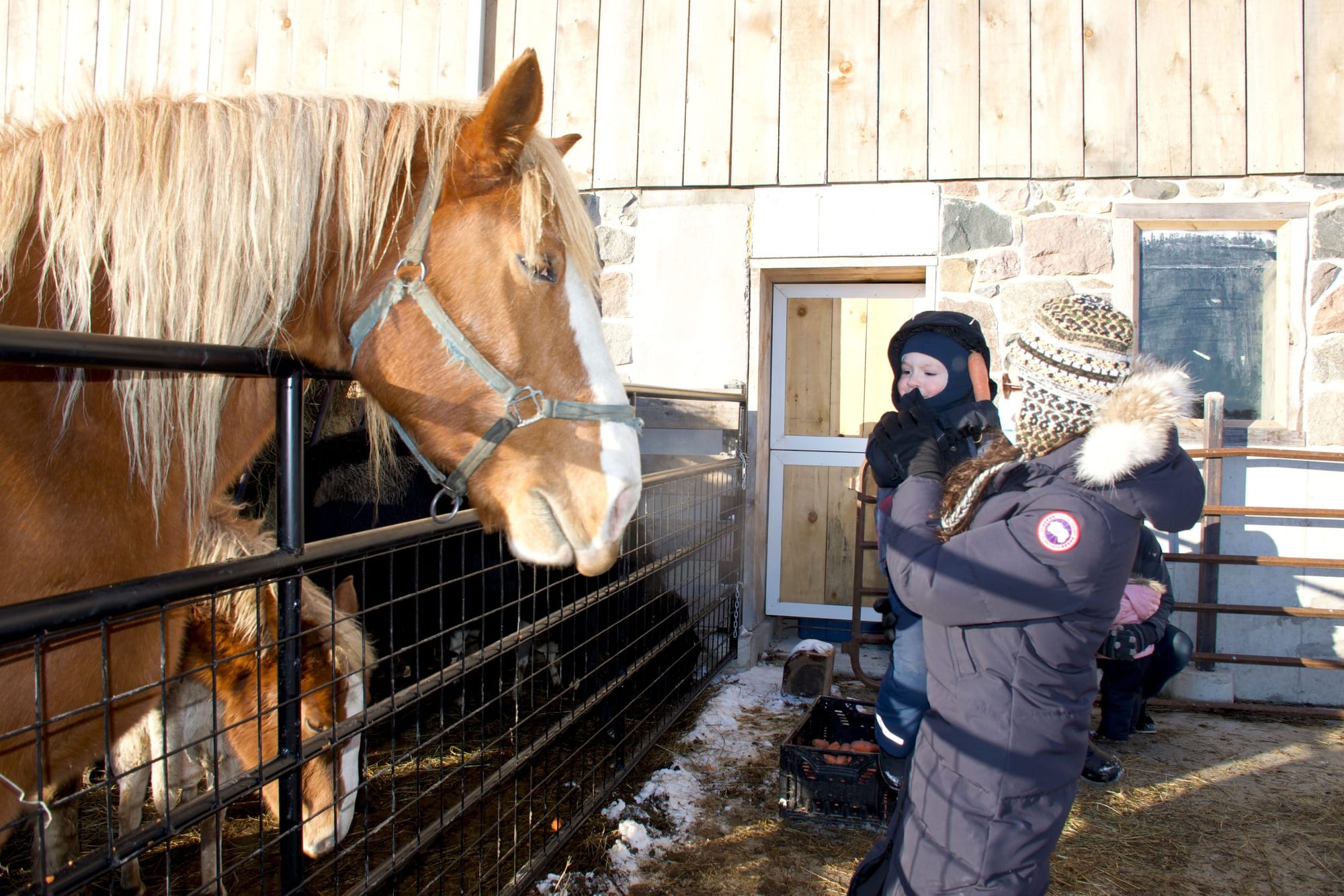 Winter Solstice at the Farm event brought community to Reroot Organic Farm