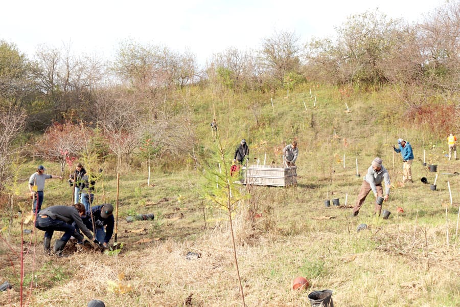 Trees for Mapleton building community with each planting