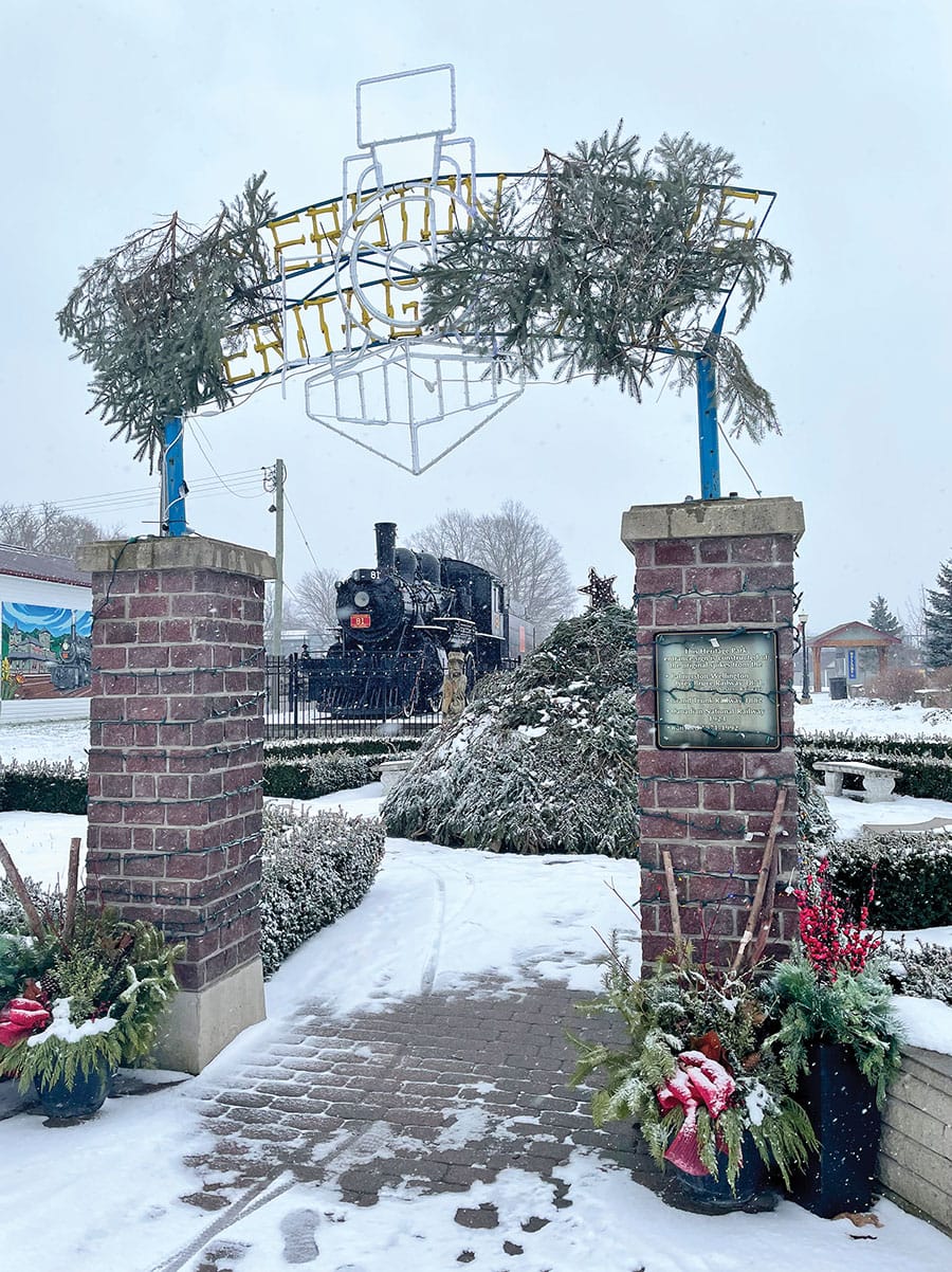 Recent vandalism at Palmerston park has neighbourhood on high alert