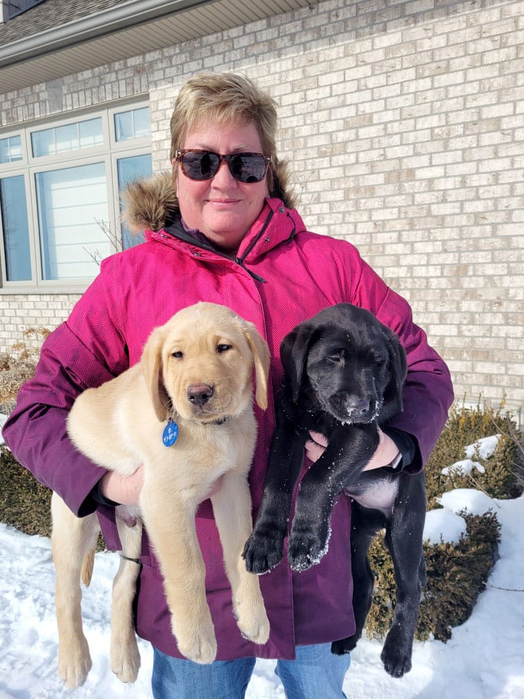 Autism Dog Services in need  of foster homes for puppies