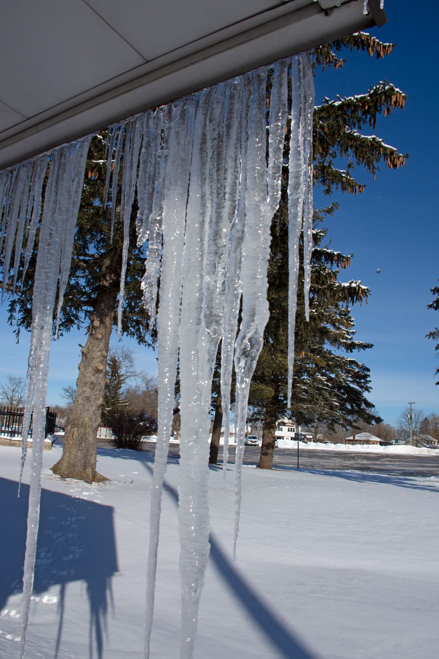 Cold temperatures created a curtain of icicles in Puslinch