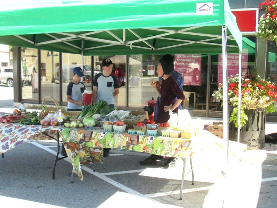 Wellington North Farmers’ Market moves to new location