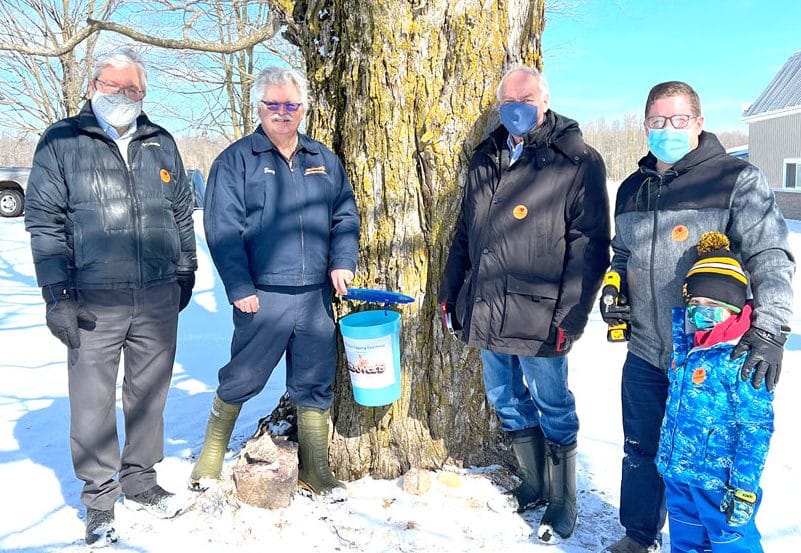 First tree tapping marks start of maple syrup harvest