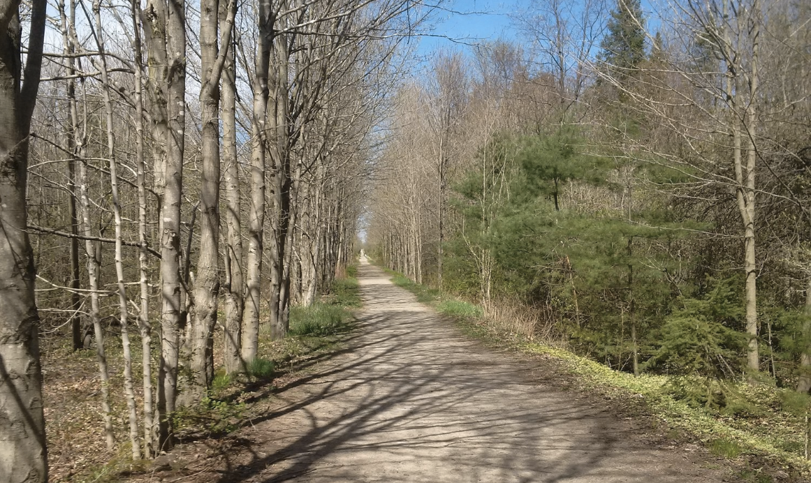 Grand Watershed Trails Network offers ‘one-stop place’ with new website launch