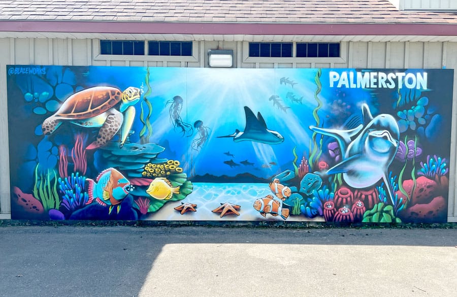 More murals created on buildings in Minto