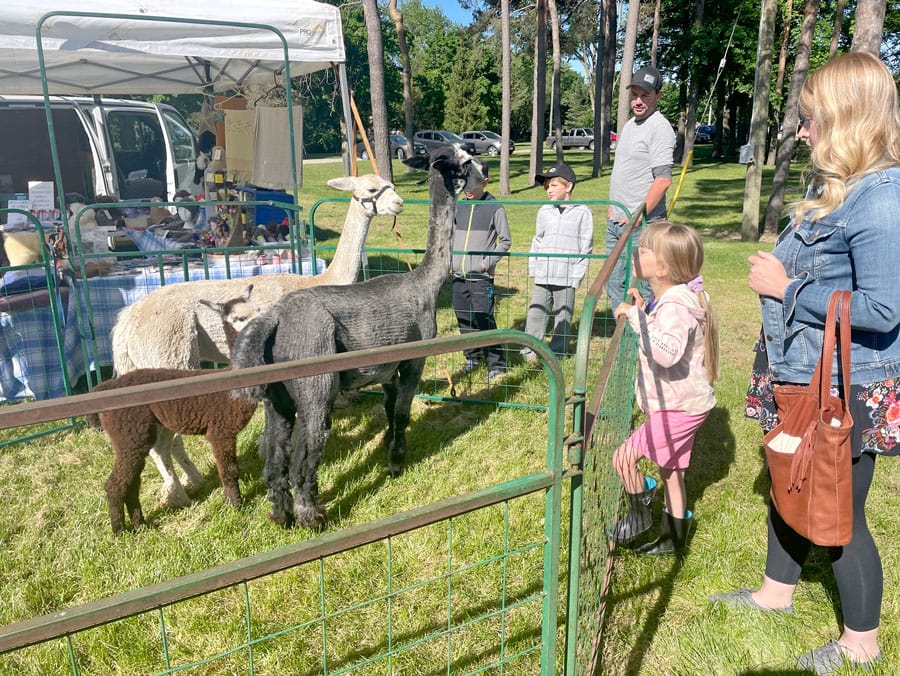 Harriston Garden Festival more than just gardens
