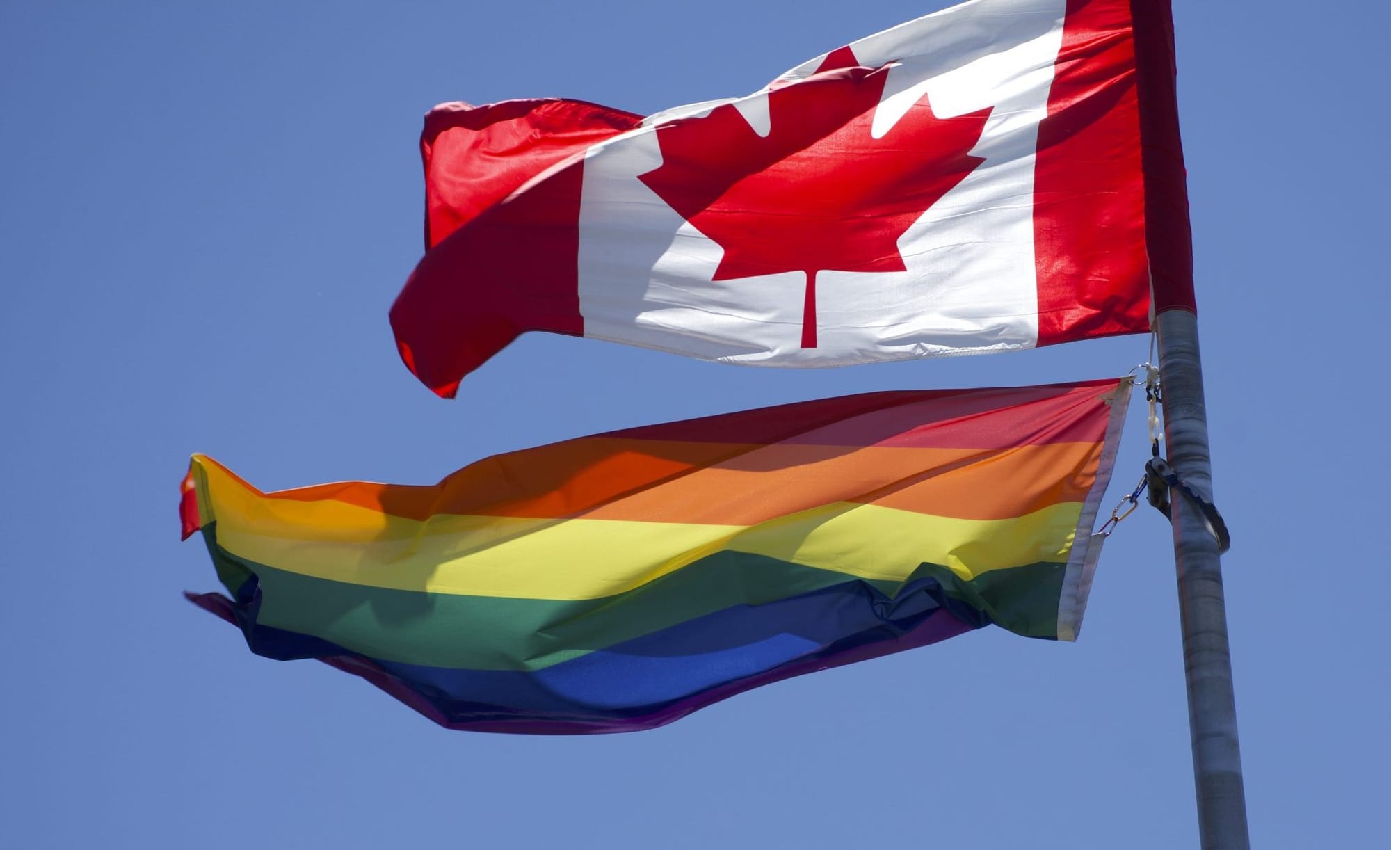 Vandalism of Pride flags can make students feel unwelcome, unsafe: UGDSB officials