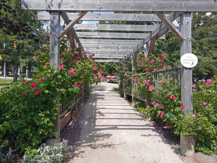 Terry Fox Garden in bloom, tended by Fergus Horticultural Society