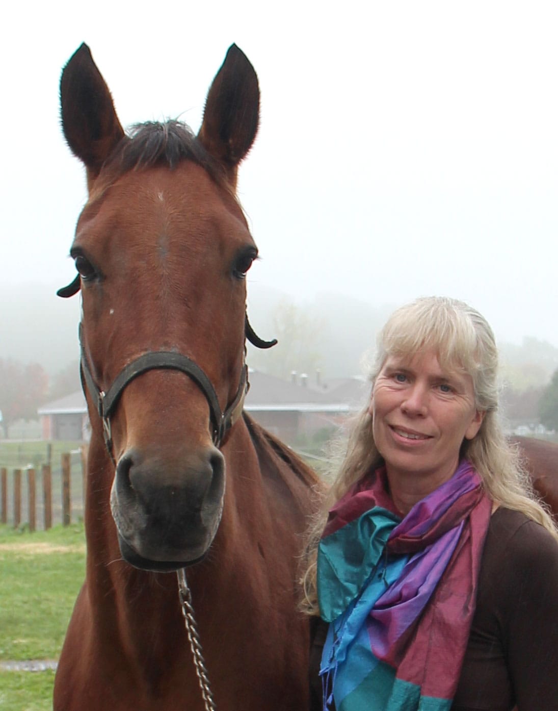 What’s in a whinny? According to an Equine Guelph study, a whinny speaks volumes