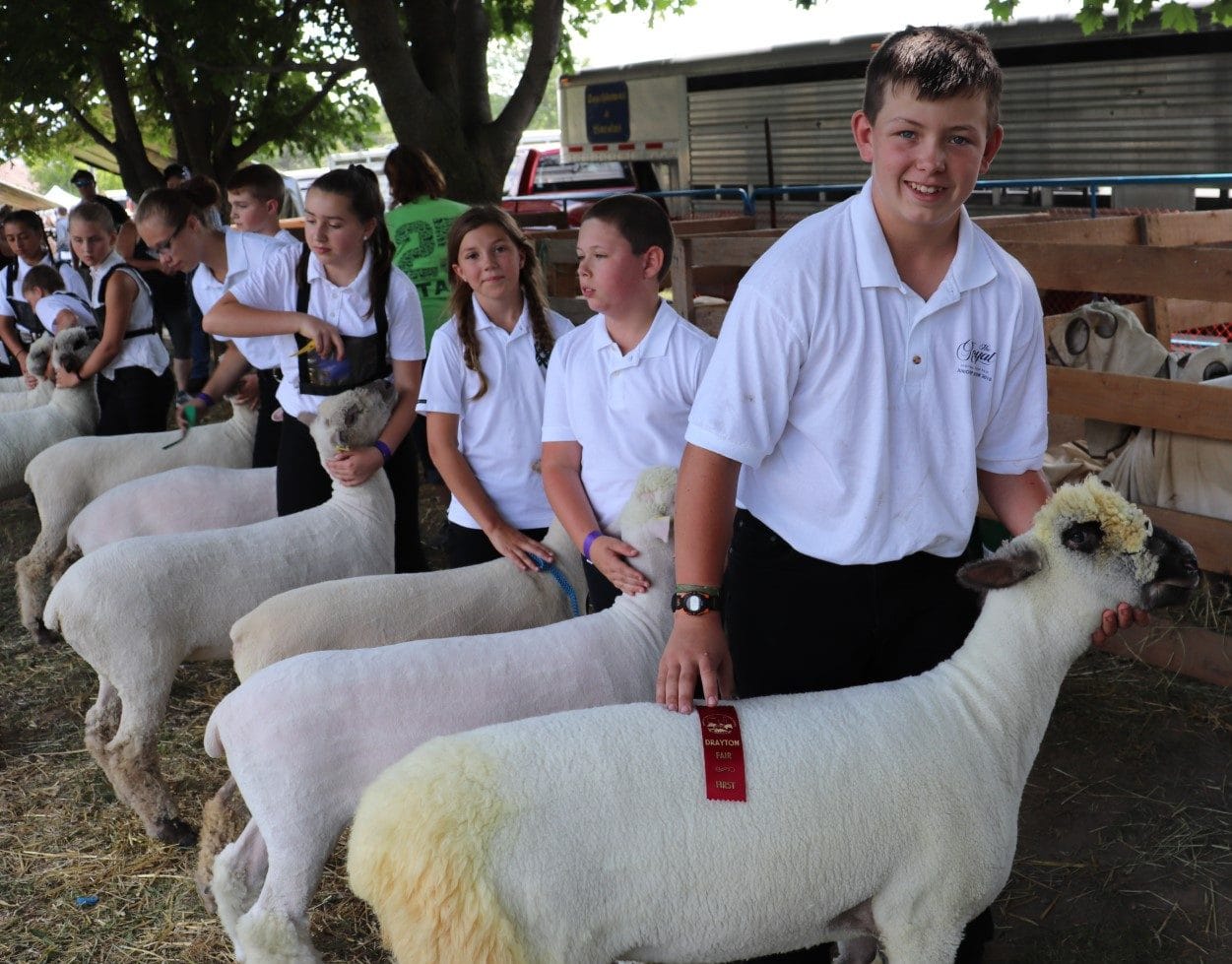 Drayton Fair kicks off return of in-person agricultural exhibitions in northern Wellington